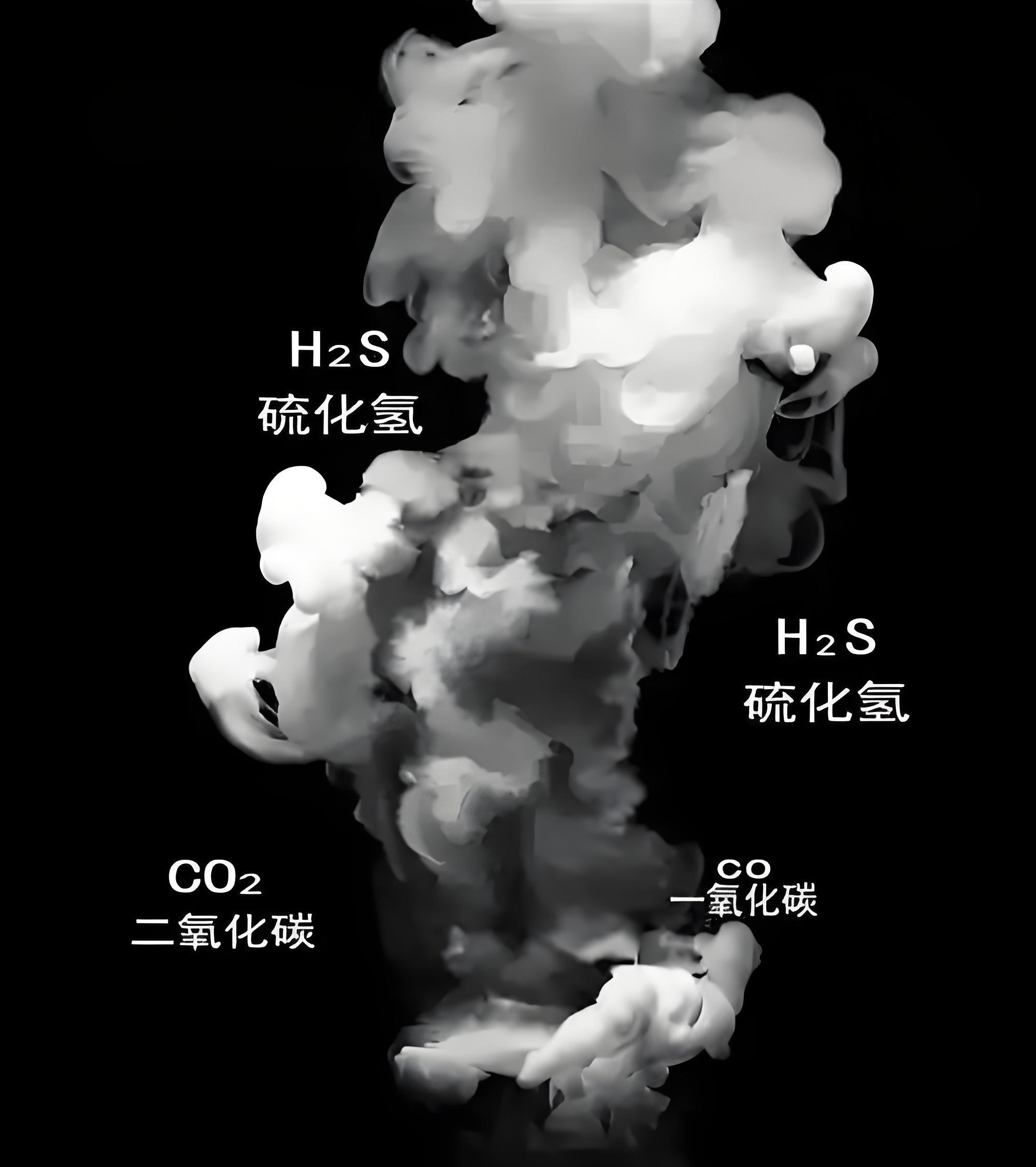 有毒氣體檢測(cè)儀一般使用場景有哪些